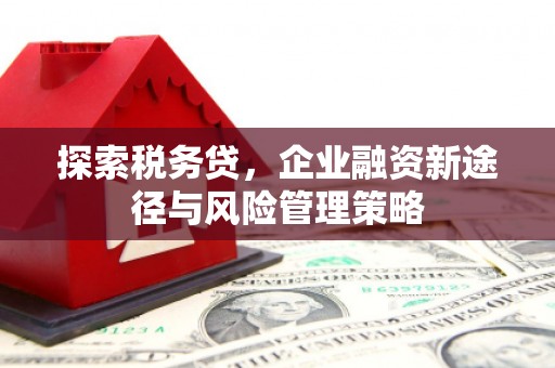 新林探索税务贷，企业融资新途径与风险管理策略