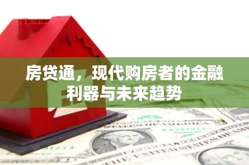 新林房贷通，现代购房者的金融利器与未来趋势