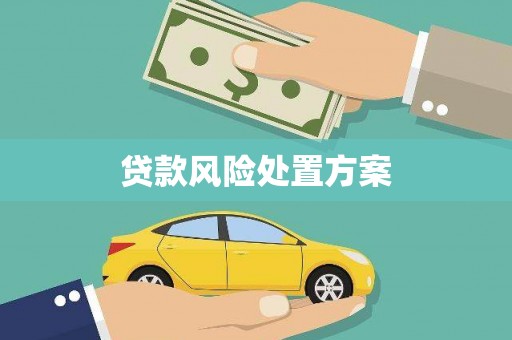 新林贷款风险处置方案