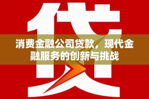 新林消费金融公司贷款，现代金融服务的创新与挑战