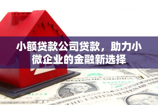 新林小额贷款公司贷款，助力小微企业的金融新选择