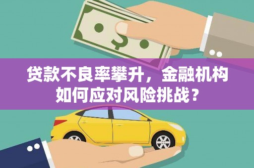 新林贷款不良率攀升，金融机构如何应对风险挑战？