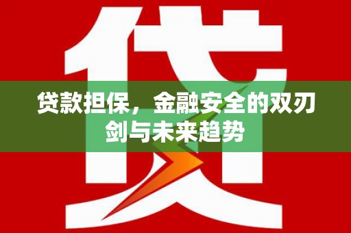 新林贷款担保，金融安全的双刃剑与未来趋势