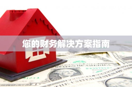 新林您的财务解决方案指南