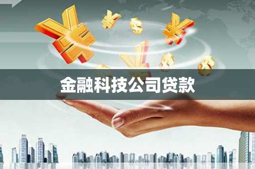 新林金融科技公司贷款