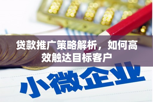 新林贷款推广策略解析，如何高效触达目标客户