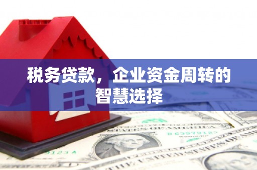 新林税务贷款，企业资金周转的智慧选择