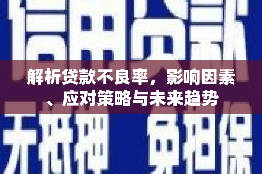 新林解析贷款不良率，影响因素、应对策略与未来趋势