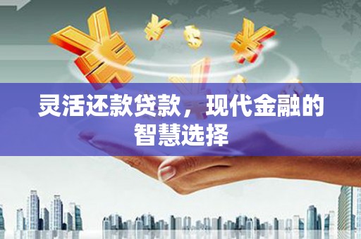 新林灵活还款贷款，现代金融的智慧选择