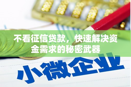 新林不看征信贷款，快速解决资金需求的秘密武器