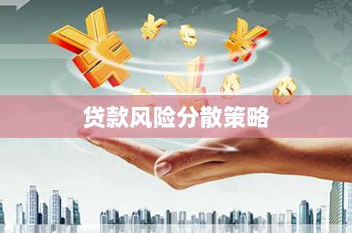 新林贷款风险分散策略