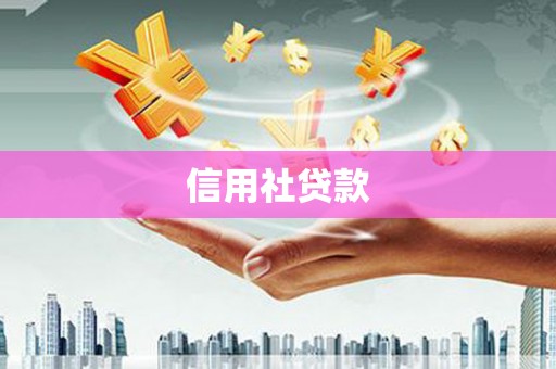 新林信用社贷款