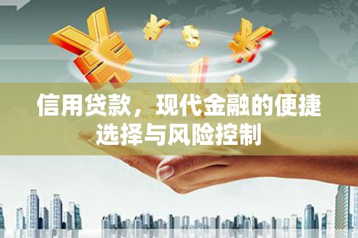 新林信用贷款，现代金融的便捷选择与风险控制