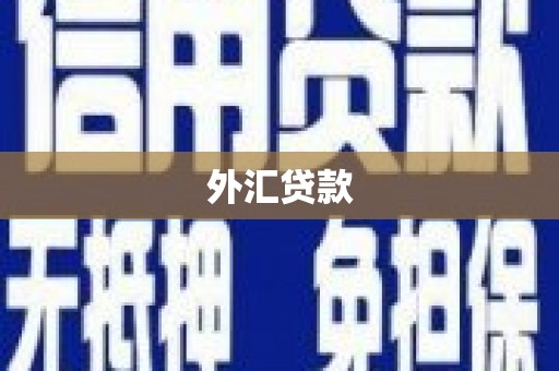 新林外汇贷款
