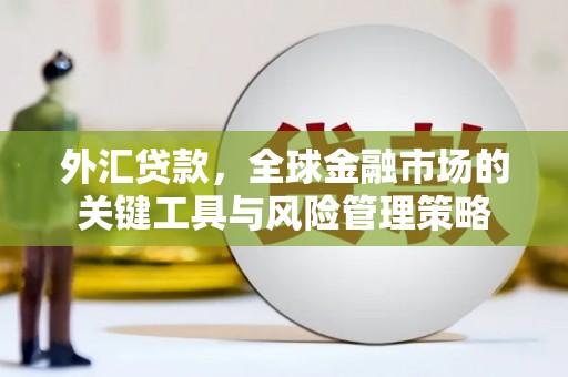 新林外汇贷款，全球金融市场的关键工具与风险管理策略
