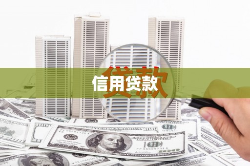 新林信用贷款