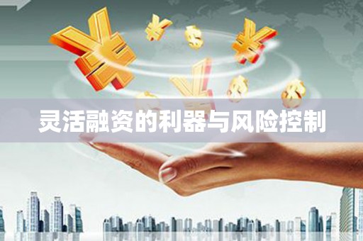 新林灵活融资的利器与风险控制