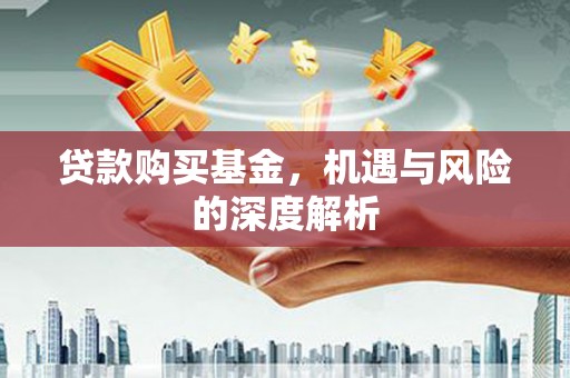 新林贷款购买基金，机遇与风险的深度解析