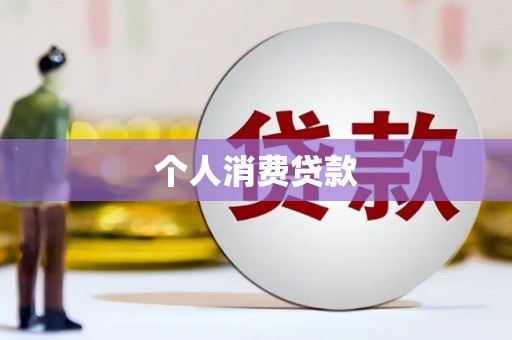 新林个人消费贷款