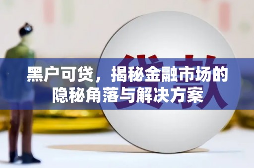新林黑户可贷，揭秘金融市场的隐秘角落与解决方案