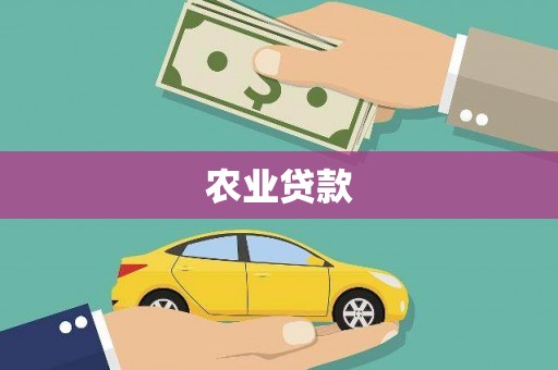 新林农业贷款
