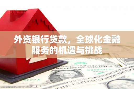 新林外资银行贷款，全球化金融服务的机遇与挑战