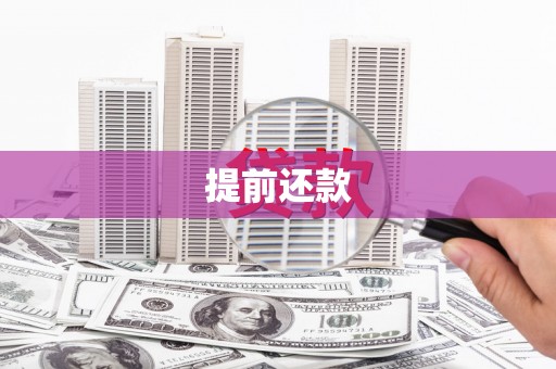 新林提前还款