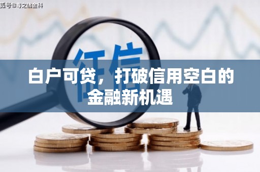 新林白户可贷，打破信用空白的金融新机遇
