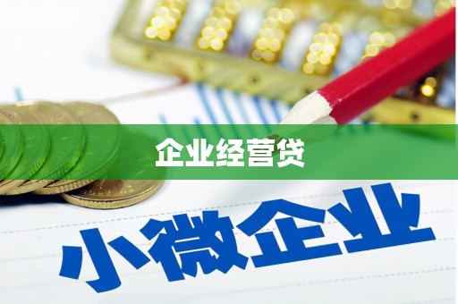 新林企业经营贷