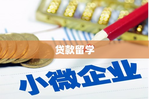 新林贷款留学