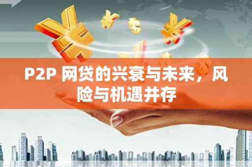 新林P2P 网贷的兴衰与未来，风险与机遇并存
