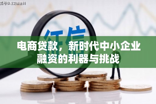 新林电商贷款，新时代中小企业融资的利器与挑战