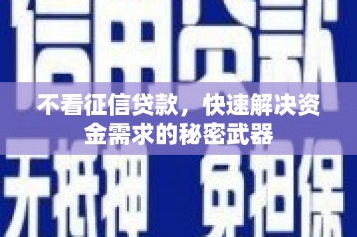 新林不看征信贷款，快速解决资金需求的秘密武器