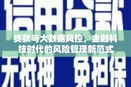 新林贷款与大数据风控，金融科技时代的风险管理新范式
