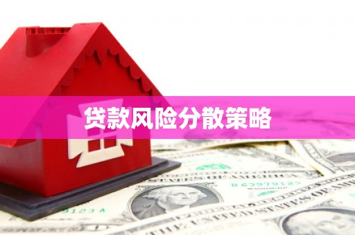 新林贷款风险分散策略