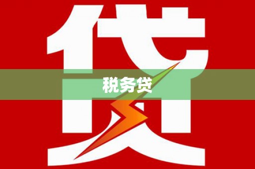 新林税务贷
