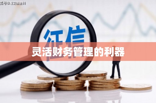 新林灵活财务管理的利器