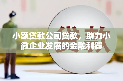 新林小额贷款公司贷款，助力小微企业发展的金融利器