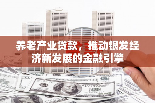 新林养老产业贷款，推动银发经济新发展的金融引擎