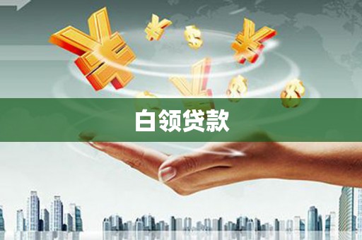 新林白领贷款