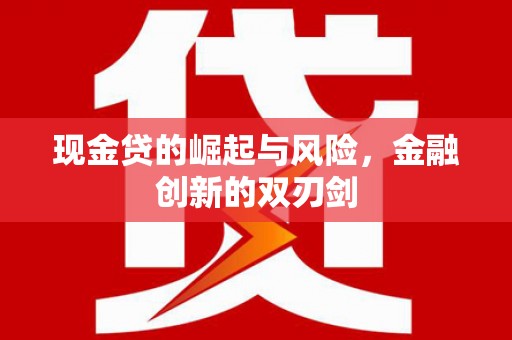 新林现金贷的崛起与风险，金融创新的双刃剑