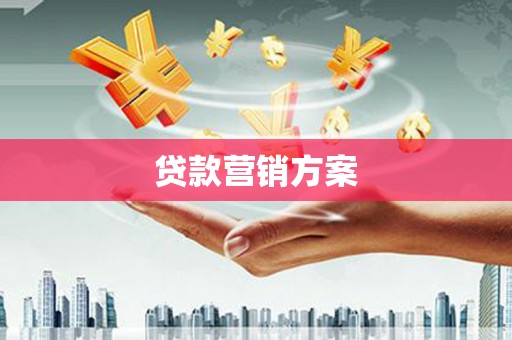 新林贷款营销方案