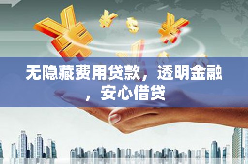新林无隐藏费用贷款，透明金融，安心借贷