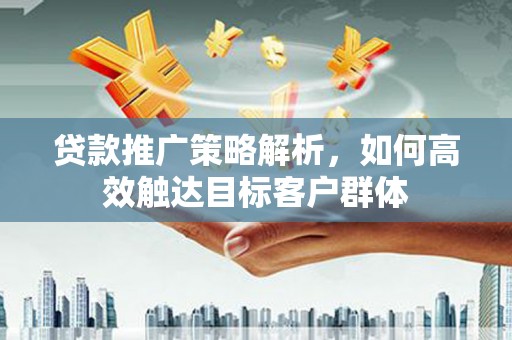 新林贷款推广策略解析，如何高效触达目标客户群体