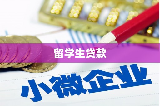 新林留学生贷款