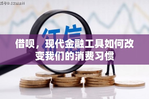 新林借呗，现代金融工具如何改变我们的消费习惯