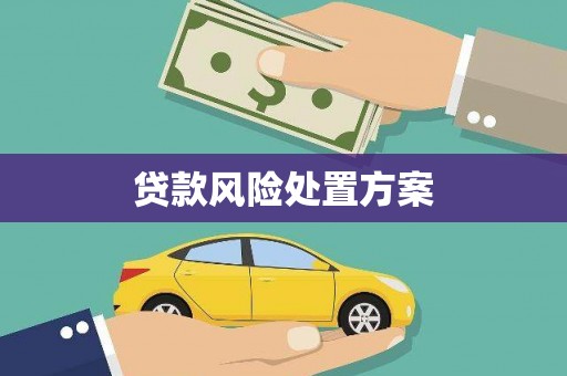 新林贷款风险处置方案