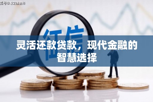 新林灵活还款贷款，现代金融的智慧选择