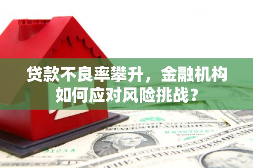 新林贷款不良率攀升，金融机构如何应对风险挑战？