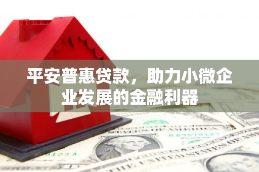 新林平安普惠贷款，助力小微企业发展的金融利器